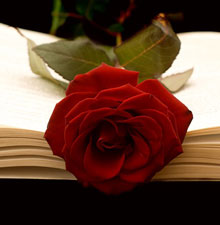 Dying Without A Will Attorney Michigan